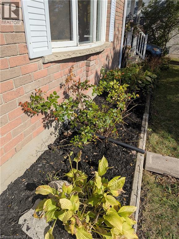 18 Calais Place, Kitchener, Ontario  N2M 5M1 - Photo 2 - 40780090
