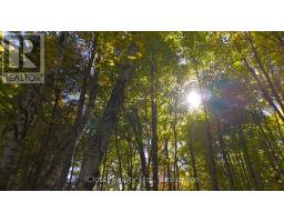 179 MAIN STREET S, Milton, Ontario