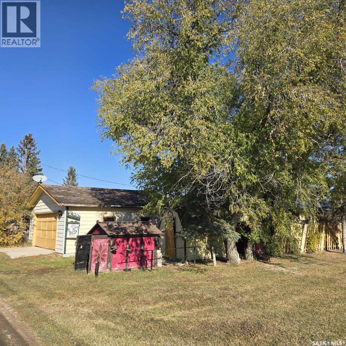 113 William Street, Radisson, Saskatchewan  S0K 3L0 - Photo 22 - SK021124