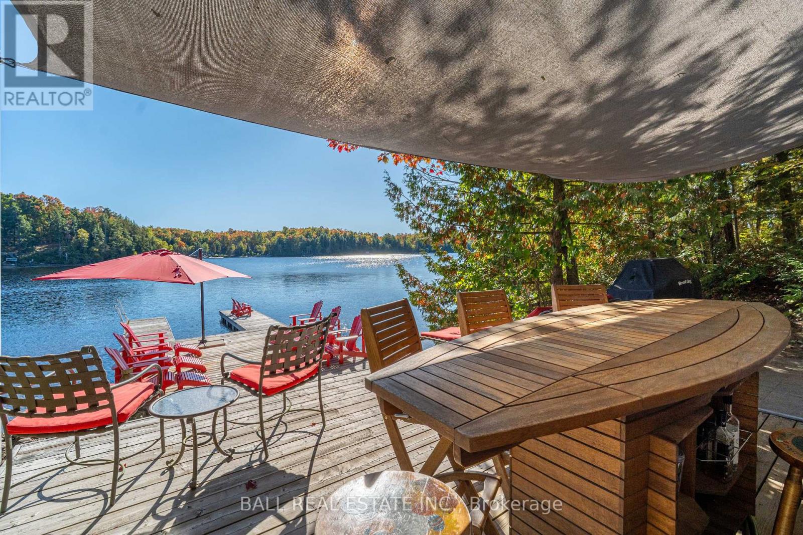 55 Fire Route 209, Trent Lakes, Ontario  K0L 1J0 - Photo 8 - X12470261