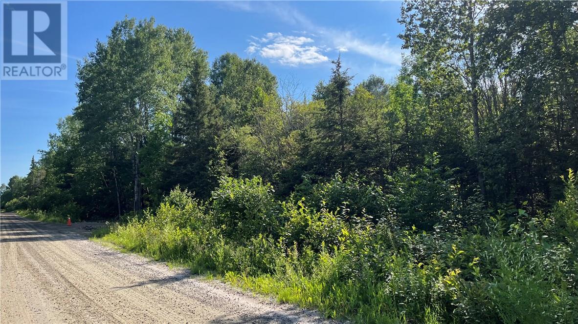 511 Deer Lake, Warren, Ontario P0H 2N0 - Photo 8 - 2123826