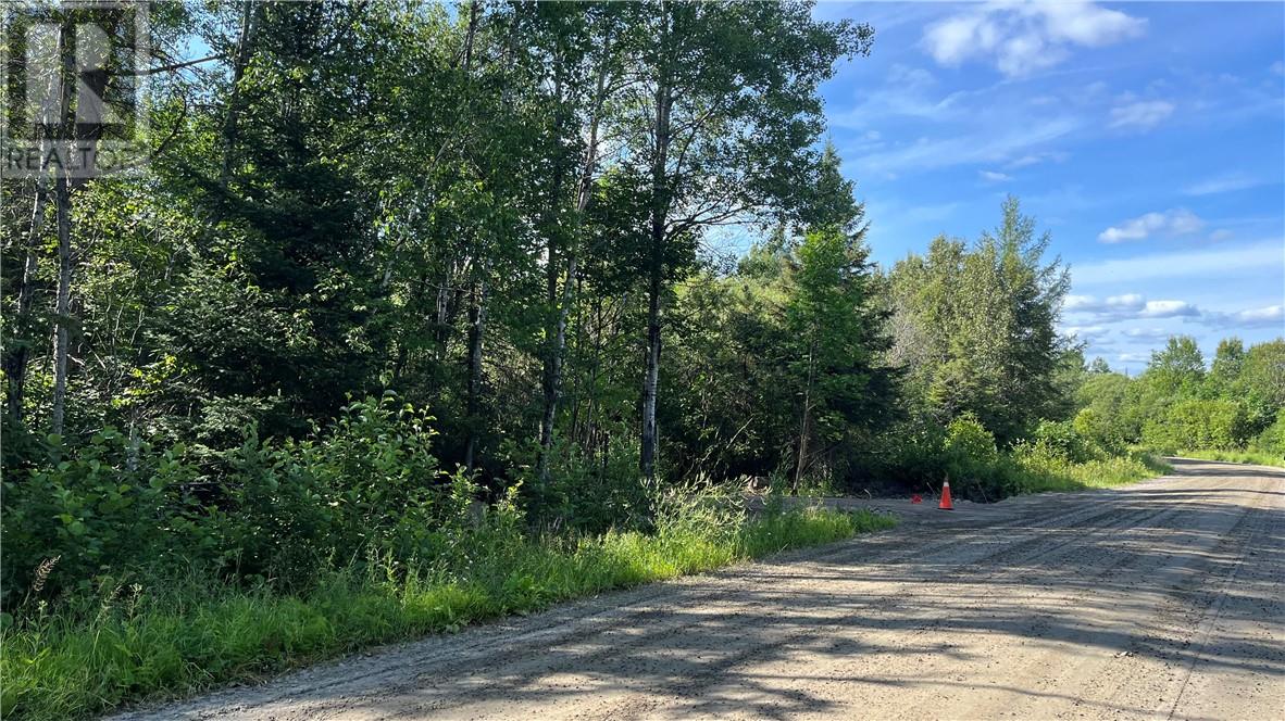 511 Deer Lake, Warren, Ontario P0H 2N0 - Photo 7 - 2123826