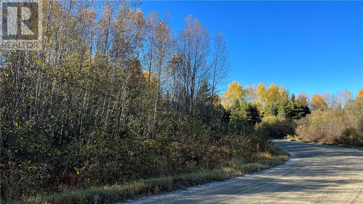 511 Deer Lake, Warren, Ontario P0H 2N0 - Photo 4 - 2123826