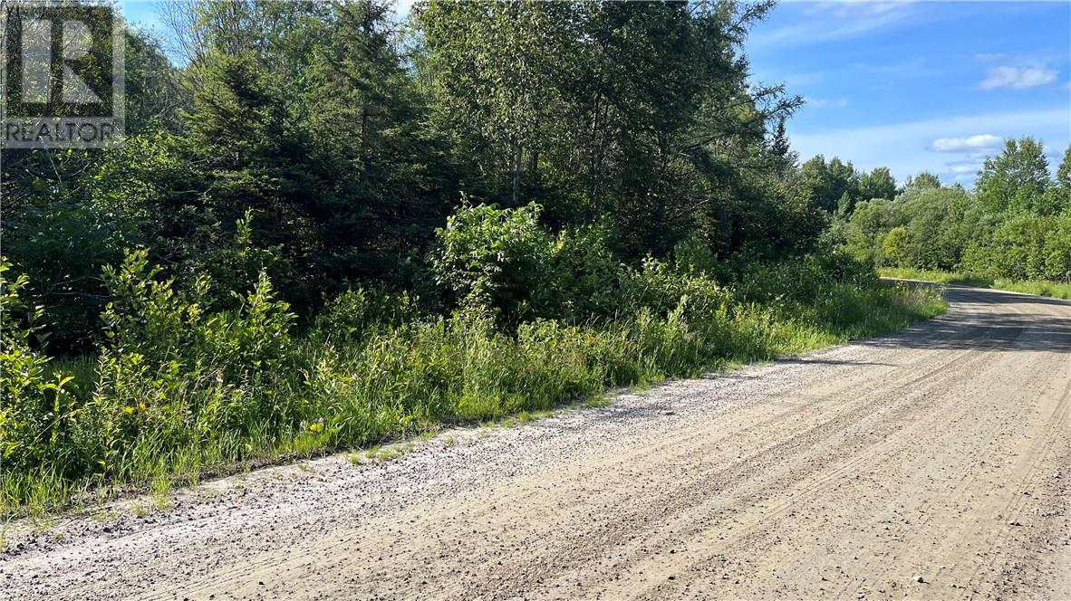 511 Deer Lake, Warren, Ontario P0H 2N0 - Photo 6 - 2123826