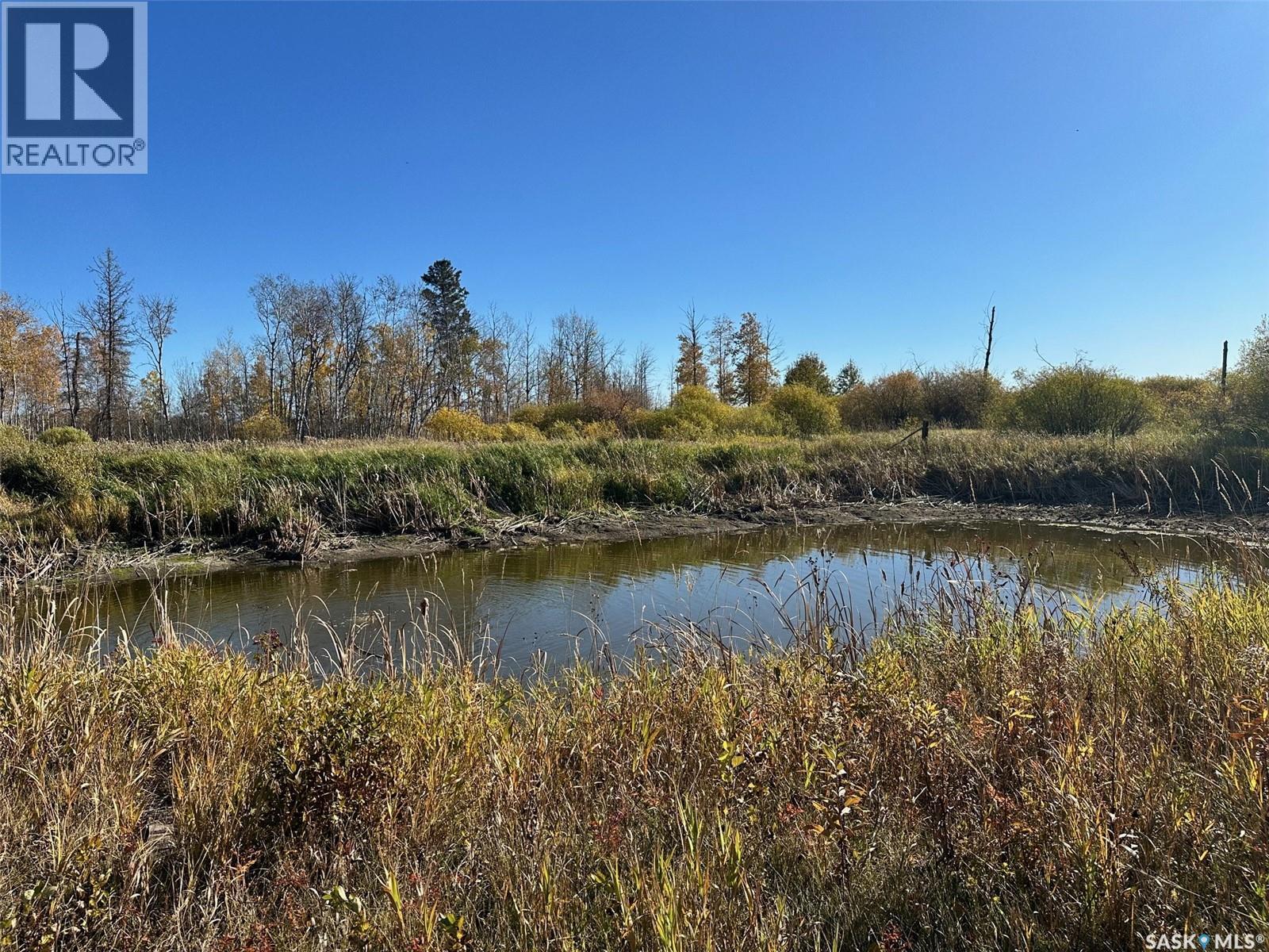 Cable Acreage, Hudson Bay Rm No. 394, Saskatchewan  S0E 0Y0 - Photo 11 - SK020970