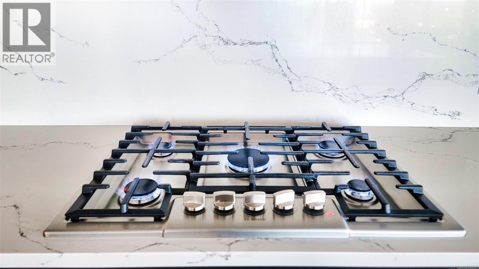 2104 777 Herald St, Victoria, British Columbia V8W 1S5 - Photo 13 - 1014246