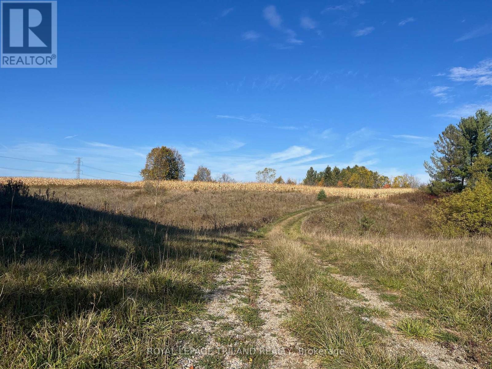 32896 Chalmers Line, Dutton/dunwich (Iona), Ontario  N0L 1P0 - Photo 8 - X12470306