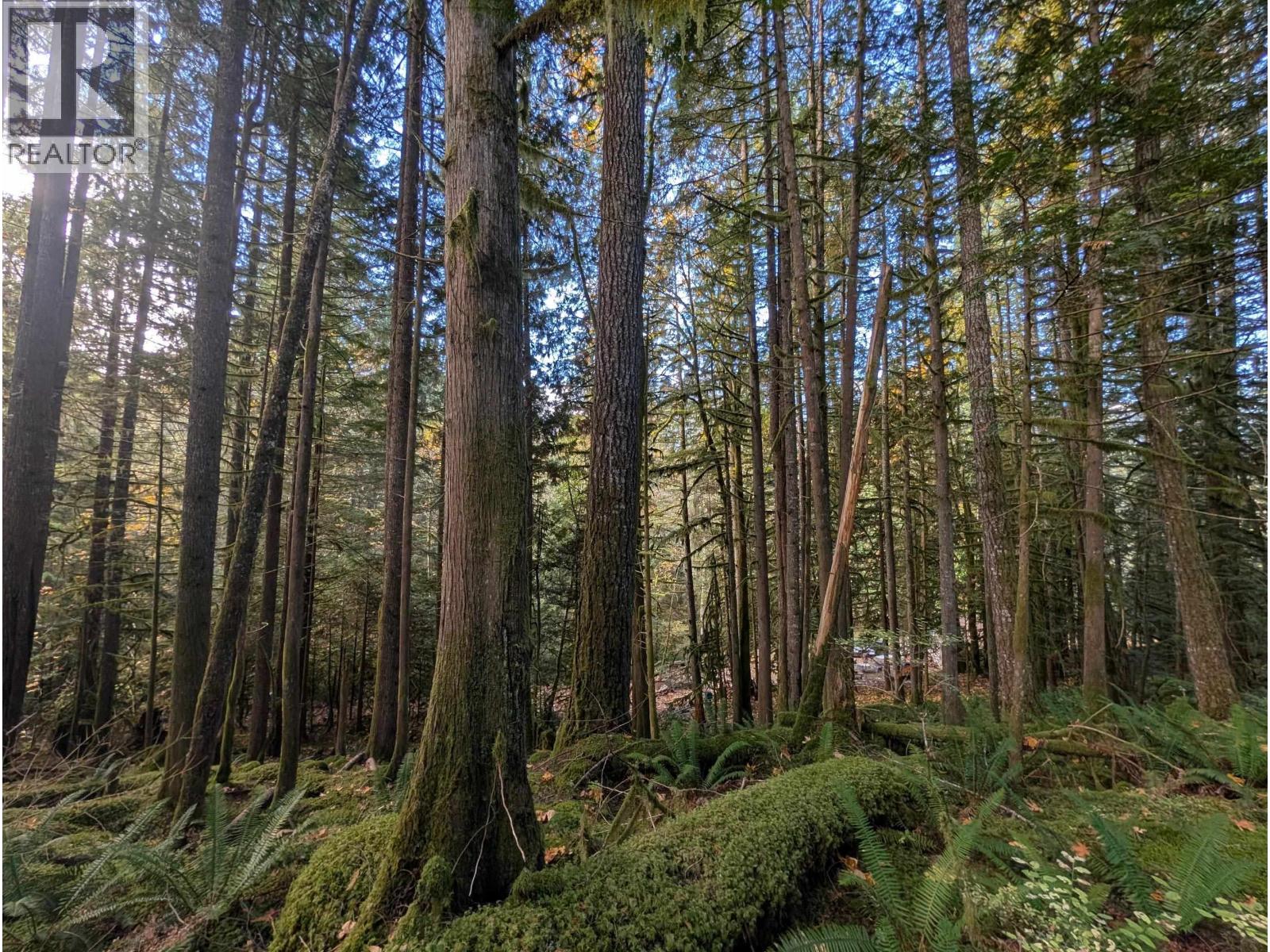 2045 N Rustad Road, Squamish, British Columbia  V0N 3G0 - Photo 13 - R3048122