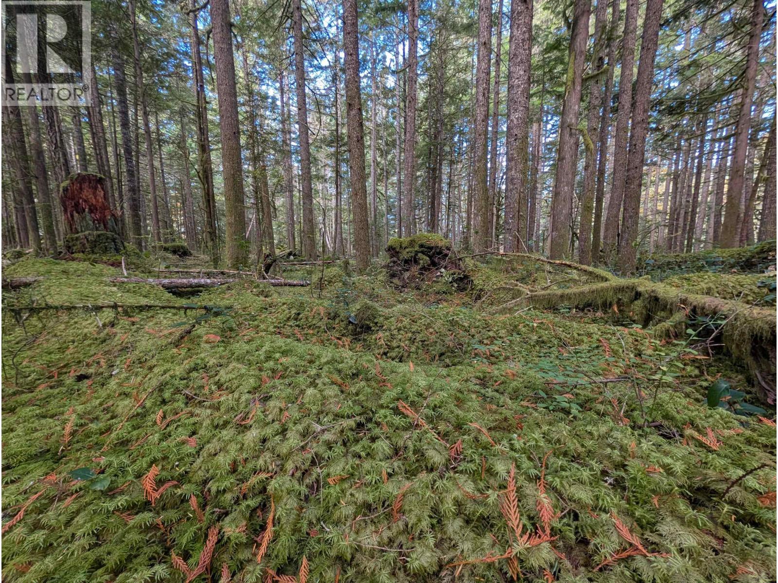 2045 N Rustad Road, Squamish, British Columbia  V0N 3G0 - Photo 12 - R3048122