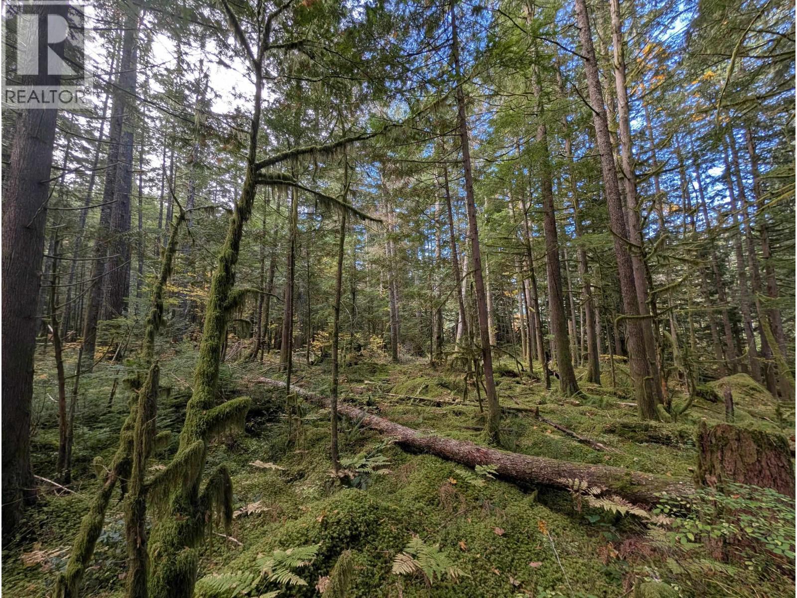 2045 N Rustad Road, Squamish, British Columbia  V0N 3G0 - Photo 11 - R3048122