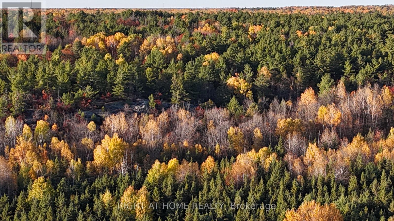 0 Levert Drive, West Nipissing, Ontario  P2B 2P3 - Photo 2 - X12467447