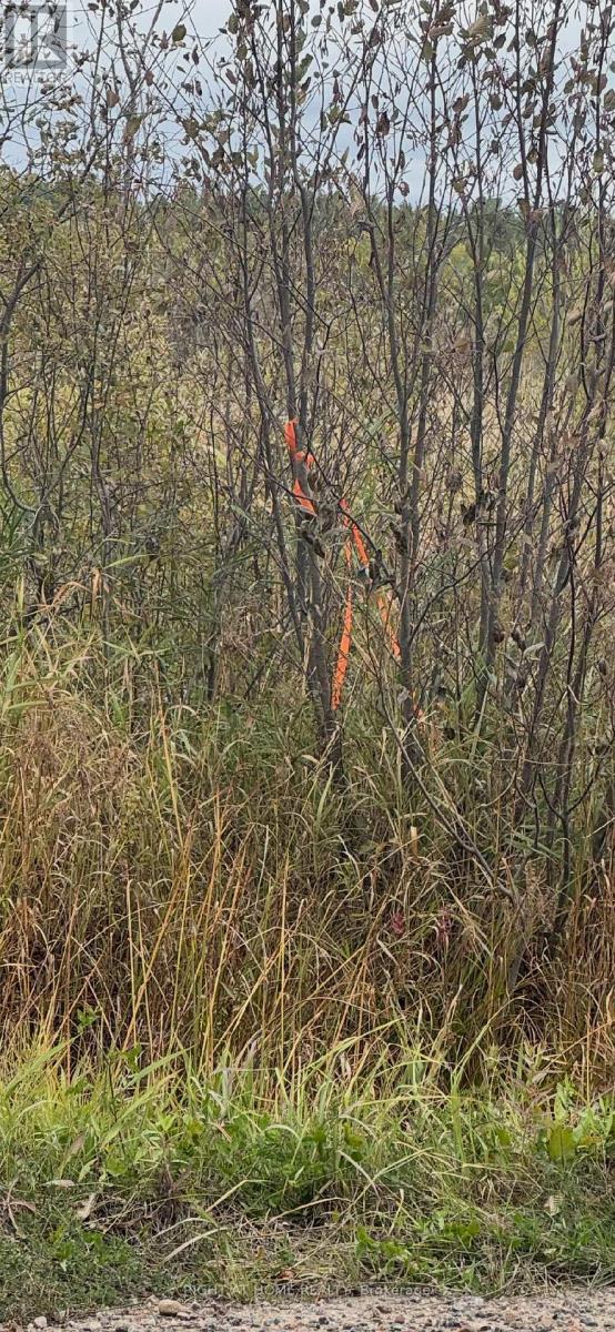 Pt 1&2 Levert Drive, West Nipissing, Ontario  P2B 2P3 - Photo 20 - X12467452