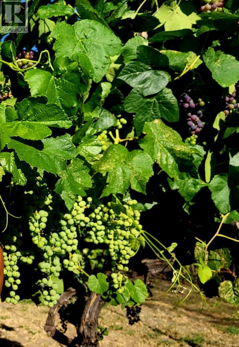 1602 85TH Street Osoyoos Photo 43 1602 85TH Street Osoyoos Photo 43