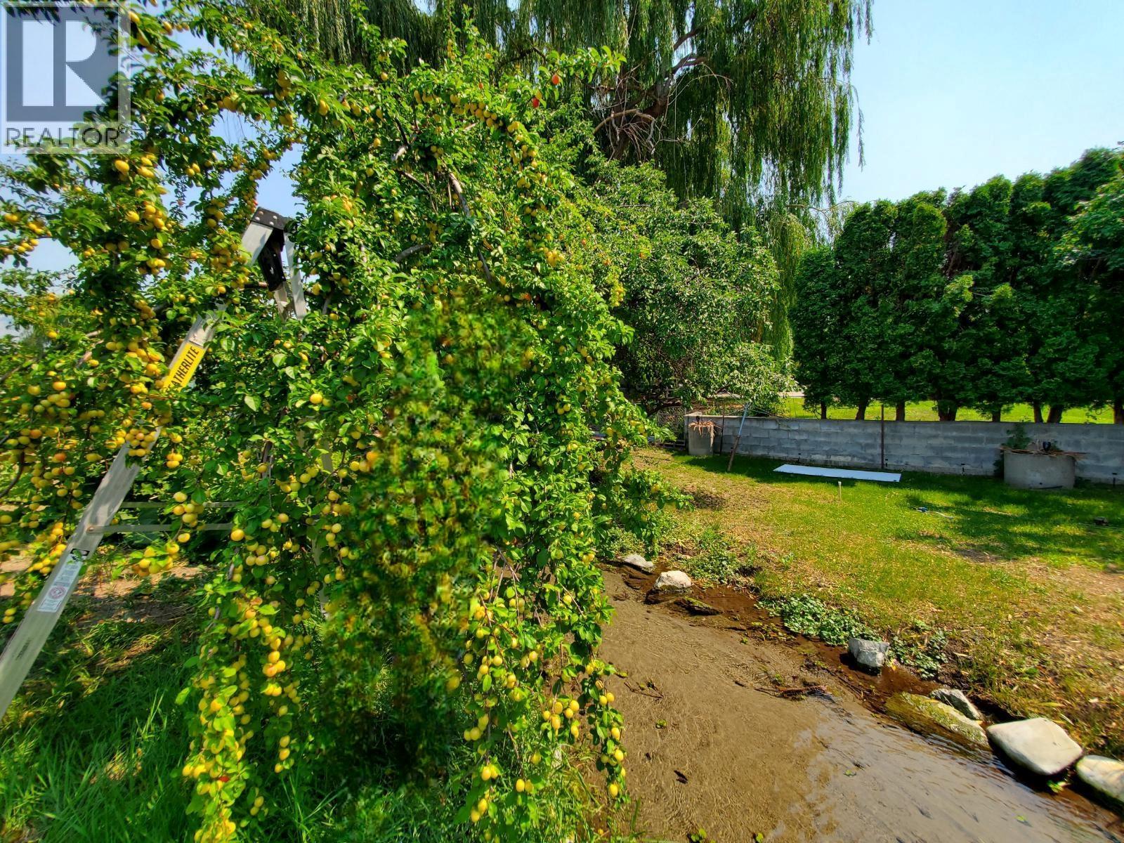 1602 85TH Street Osoyoos Photo 44 1602 85TH Street Osoyoos Photo 44