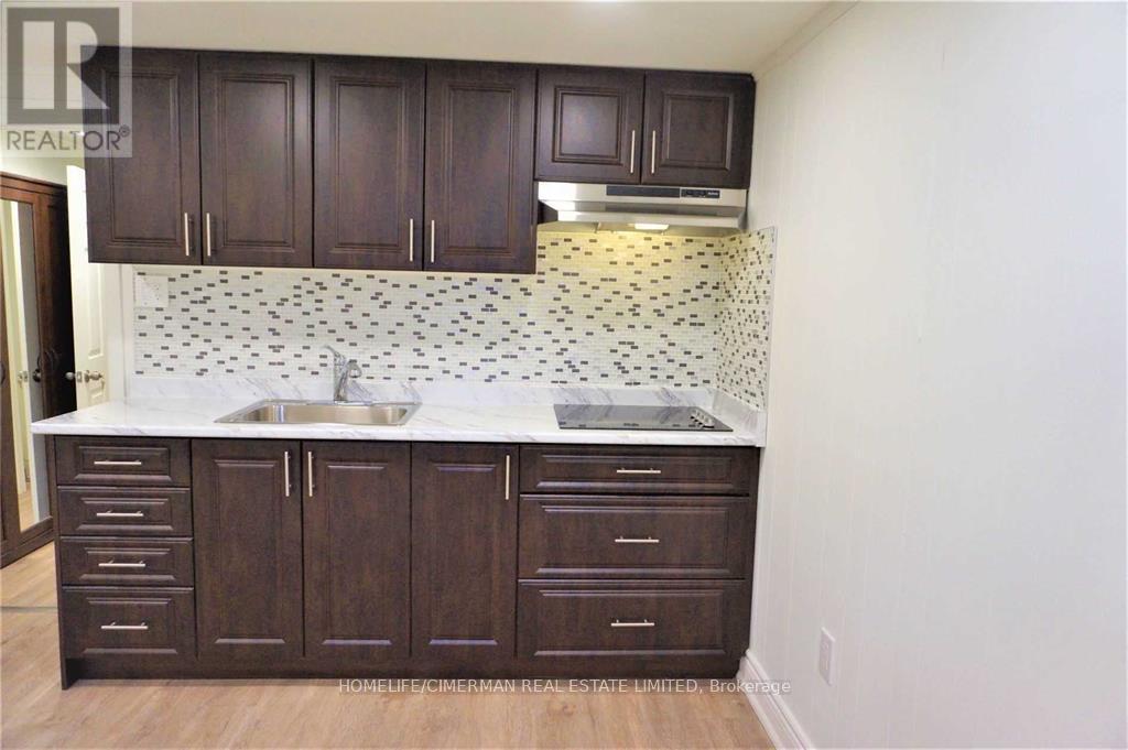 Lower #a - 22 Otonabee Avenue, Toronto, Ontario  M2M 2S3 - Photo 2 - C12470394