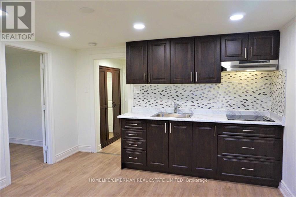 Lower #a - 22 Otonabee Avenue, Toronto, Ontario  M2M 2S3 - Photo 3 - C12470394