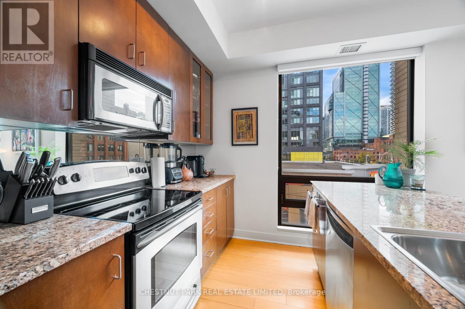 308 - 438 King Street W, Toronto, Ontario  M5V 3T9 - Photo 10 - C12470397