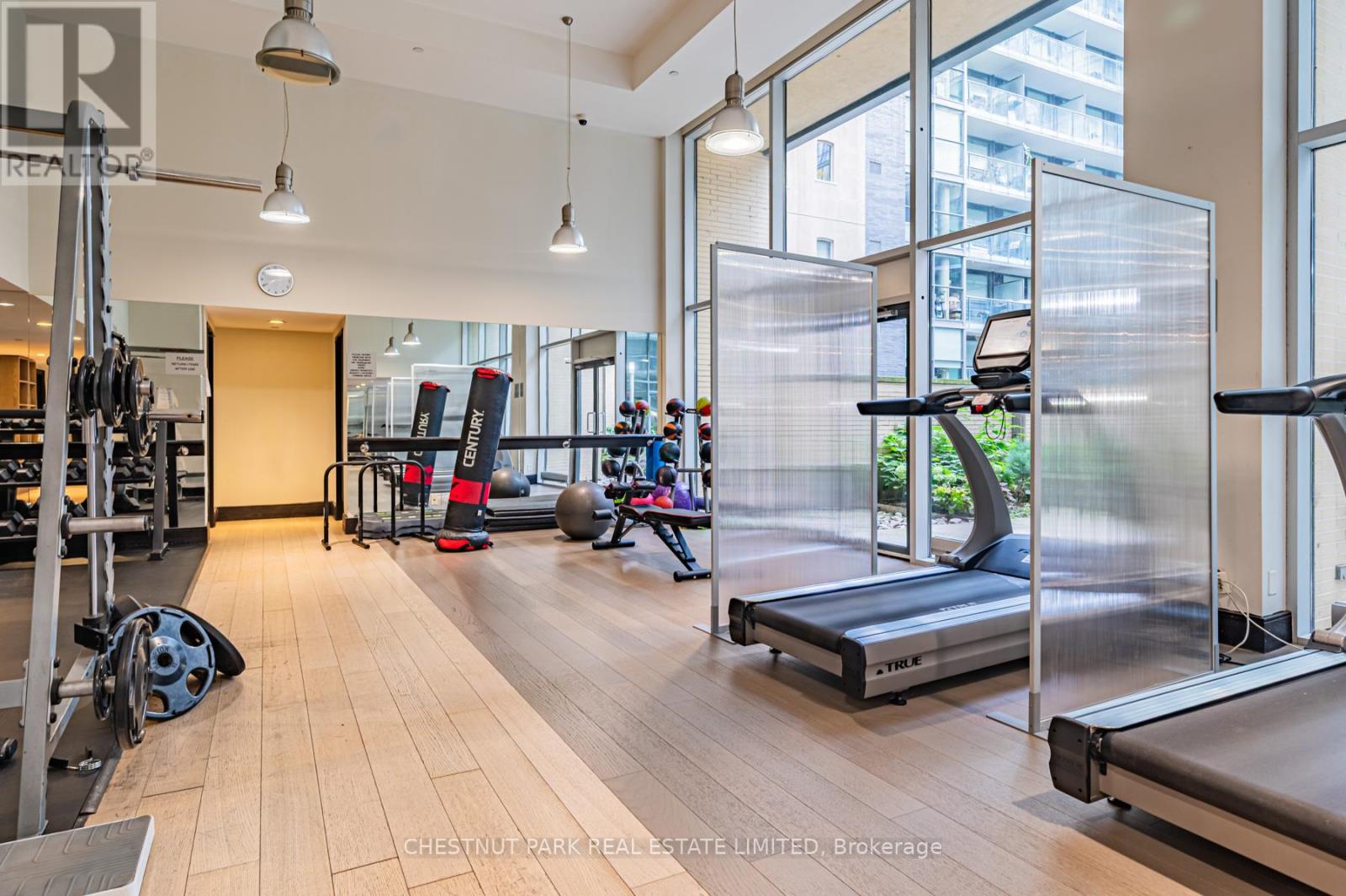 308 - 438 King Street W, Toronto, Ontario  M5V 3T9 - Photo 21 - C12470397