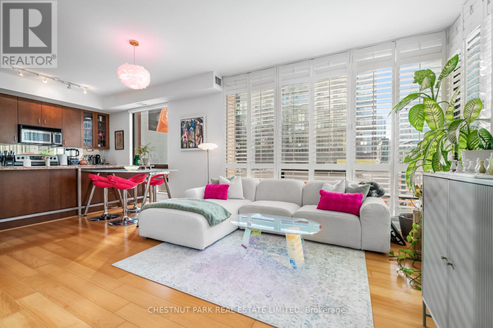 308 - 438 King Street W, Toronto, Ontario  M5V 3T9 - Photo 3 - C12470397