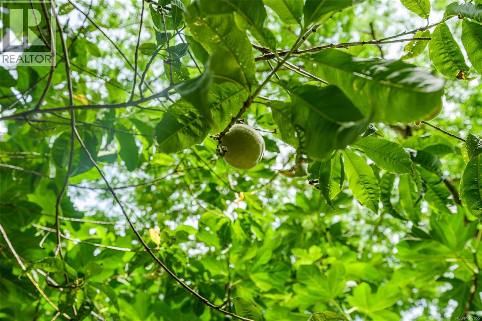 231 Kanaka Rd, Salt Spring, British Columbia  V8K 2A9 - Photo 60 - 1007055