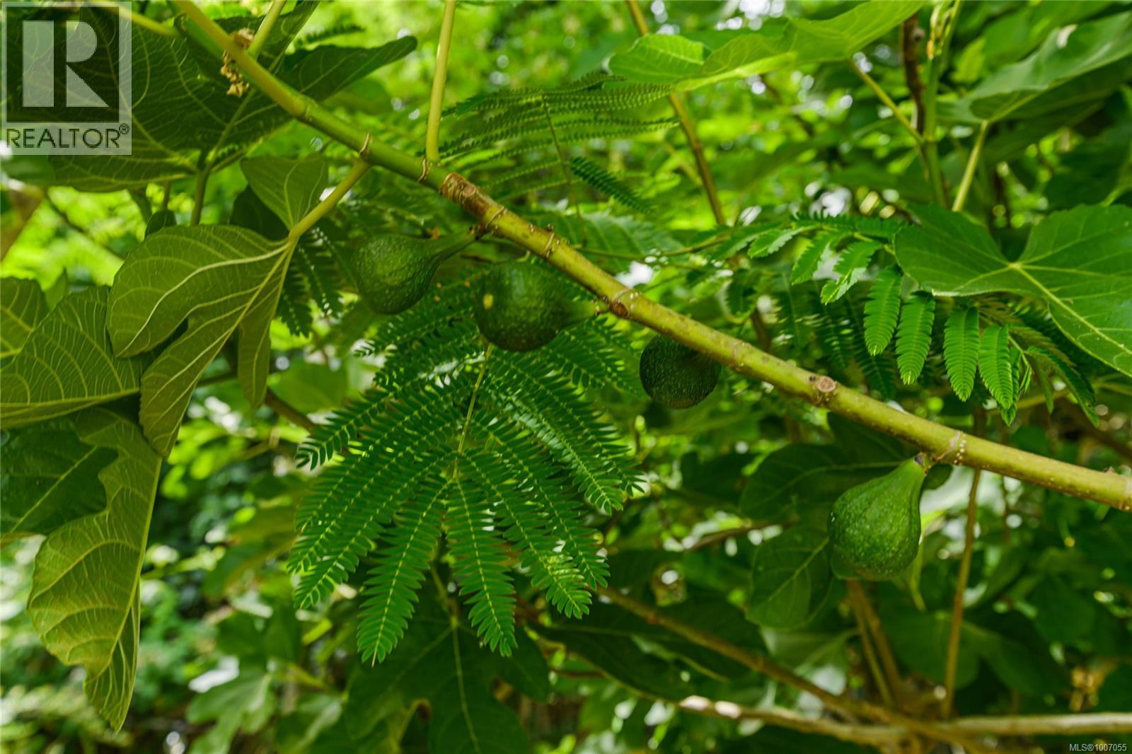 231 Kanaka Rd, Salt Spring, British Columbia  V8K 2A9 - Photo 61 - 1007055