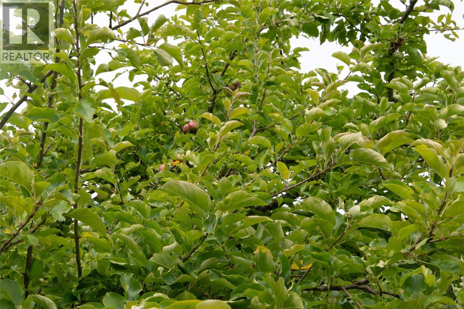 231 Kanaka Rd, Salt Spring, British Columbia  V8K 2A9 - Photo 62 - 1007055