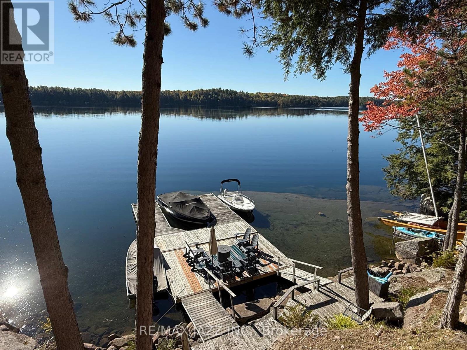 728 Renwick Road, North Kawartha, Ontario  K0L 1A0 - Photo 10 - X12444002