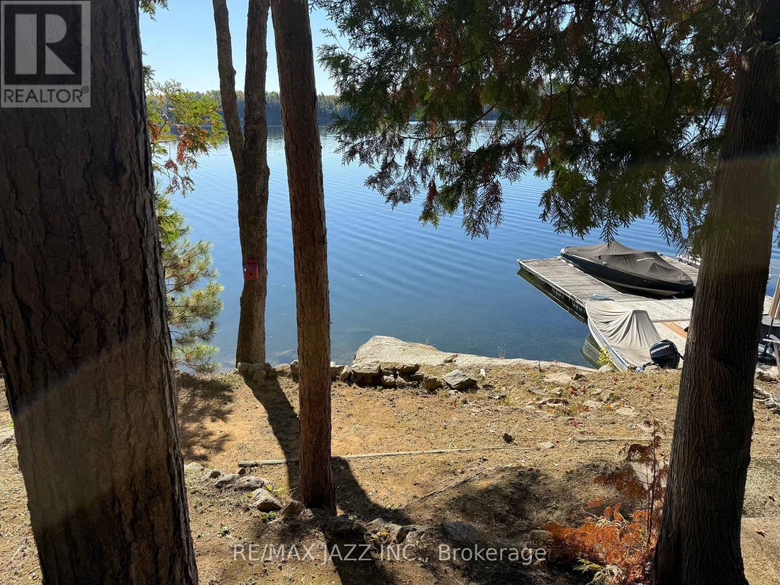 728 Renwick Road, North Kawartha, Ontario  K0L 1A0 - Photo 15 - X12444002