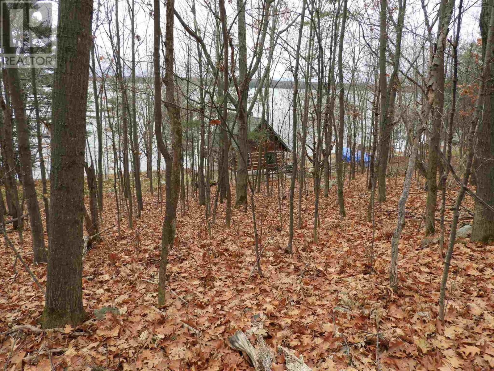 73 Gardiner St, Huron Shores, Ontario  P0R 1H0 - Photo 43 - SM253011