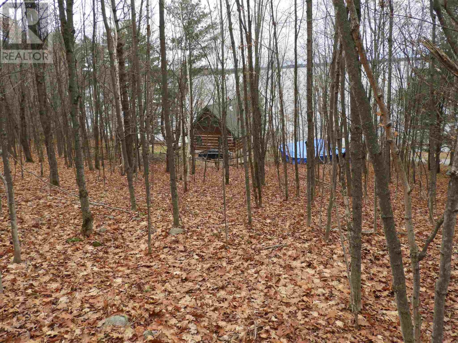 73 Gardiner St, Huron Shores, Ontario  P0R 1H0 - Photo 45 - SM253011