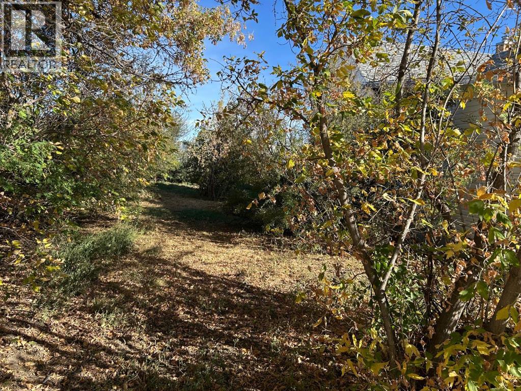 210 5 Street, Warner, Alberta  T0K 2L0 - Photo 40 - A2259444