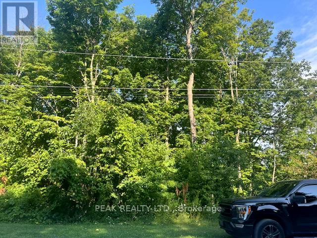 Lot 13 Ashgrove Lane, Meaford, Ontario  N0H 1B0 - Photo 2 - X12470509