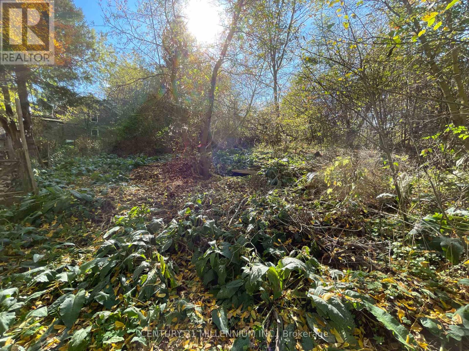 Plan 4a Blk 3 Lot 10 Mill Street, Amaranth, Ontario  L9W 3Z3 - Photo 4 - X12470545