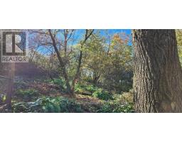 PLAN 4A BLK 3 LOT 10 MILL STREET, Amaranth, Ontario