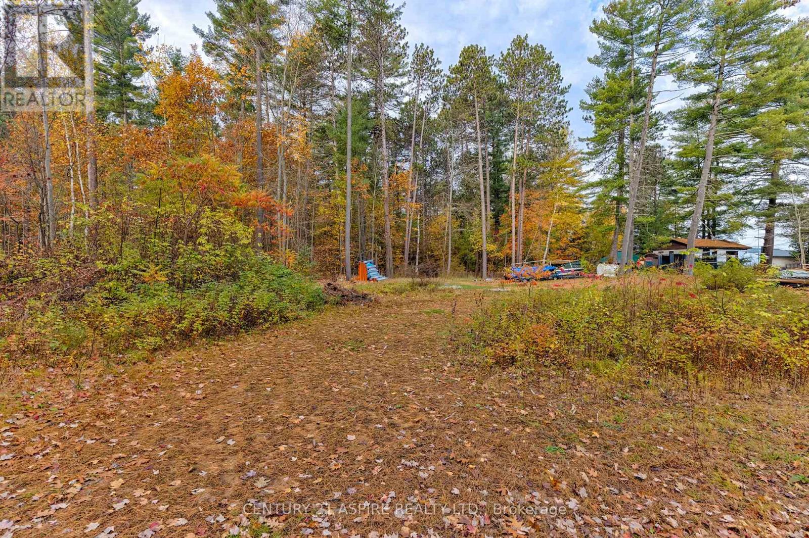 58 East Street, Petawawa, Ontario  K8H 2N9 - Photo 2 - X12470356