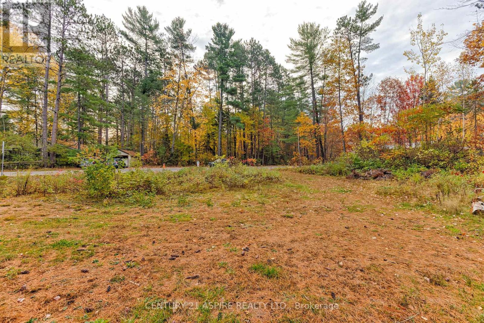 58 East Street, Petawawa, Ontario  K8H 2N9 - Photo 6 - X12470356