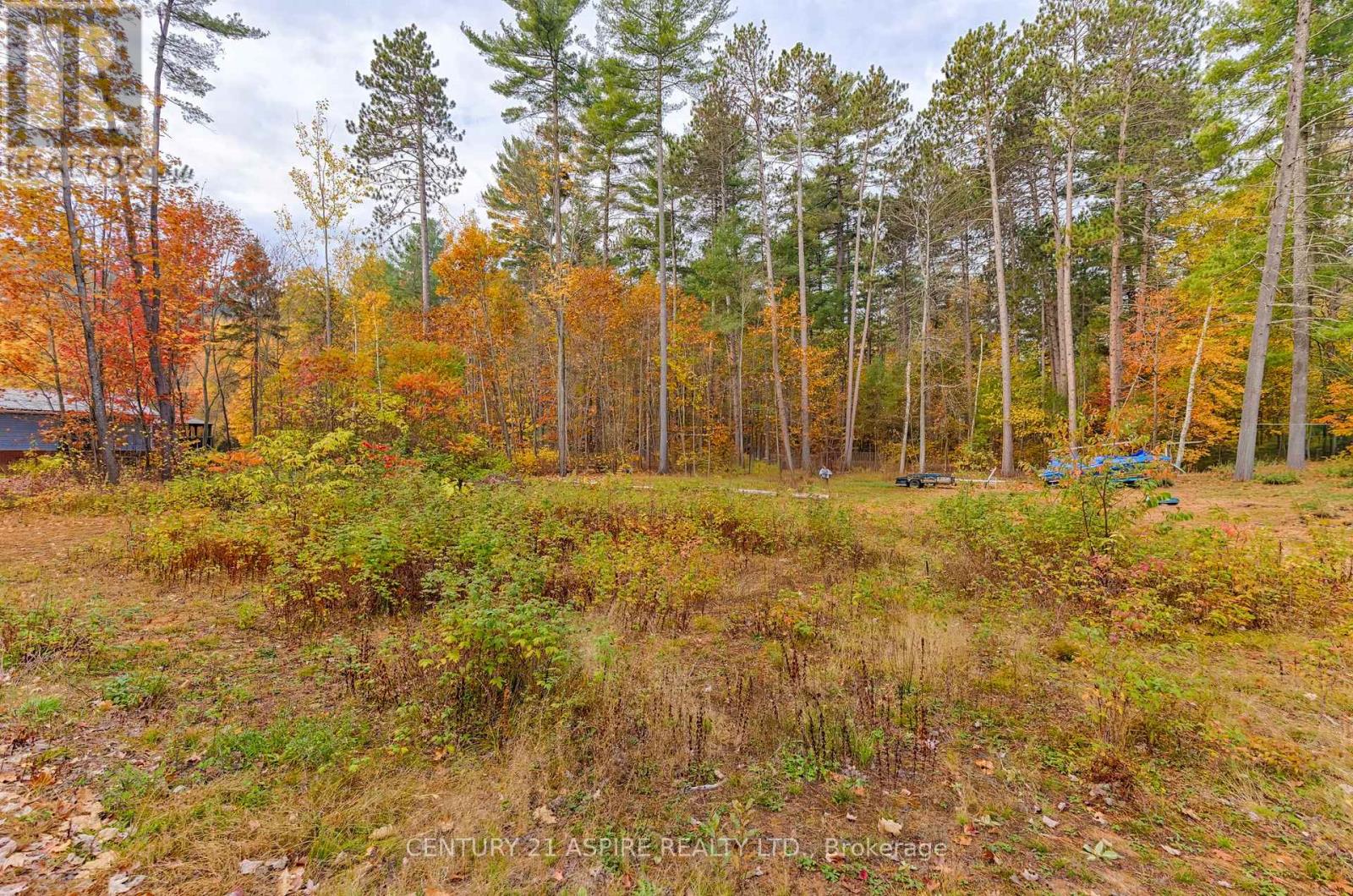 58 East Street, Petawawa, Ontario  K8H 2N9 - Photo 3 - X12470356
