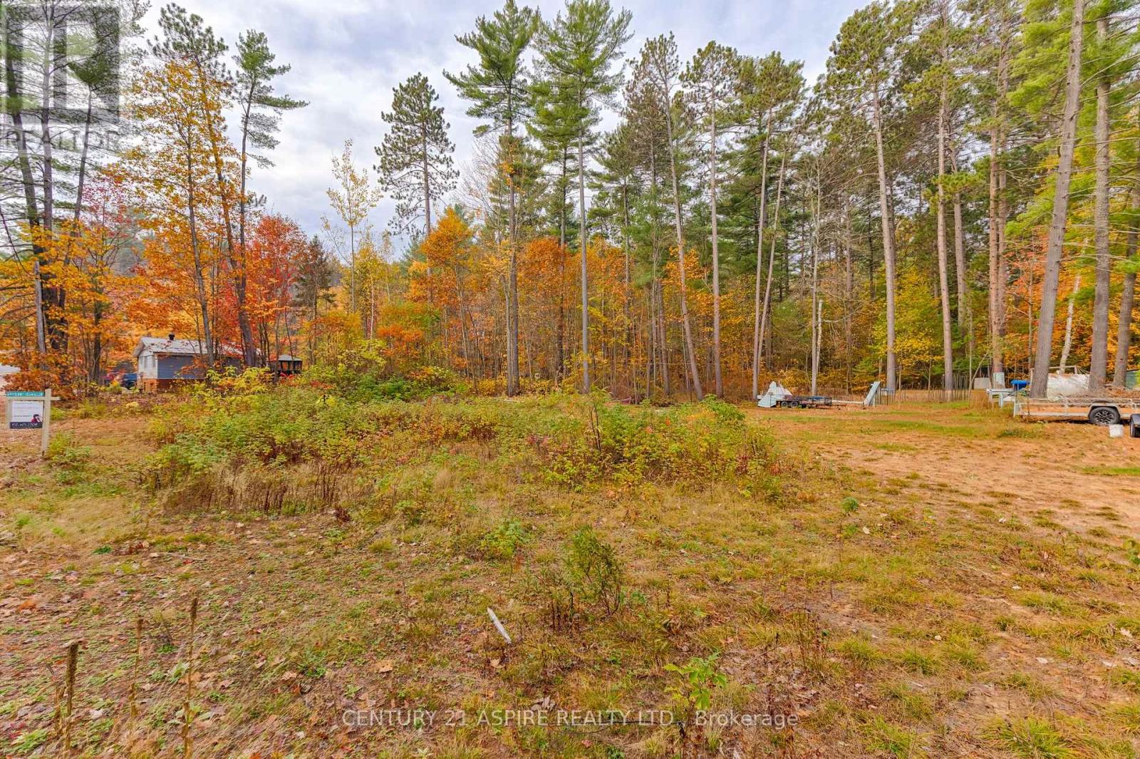 58 East Street, Petawawa, Ontario  K8H 2N9 - Photo 4 - X12470356