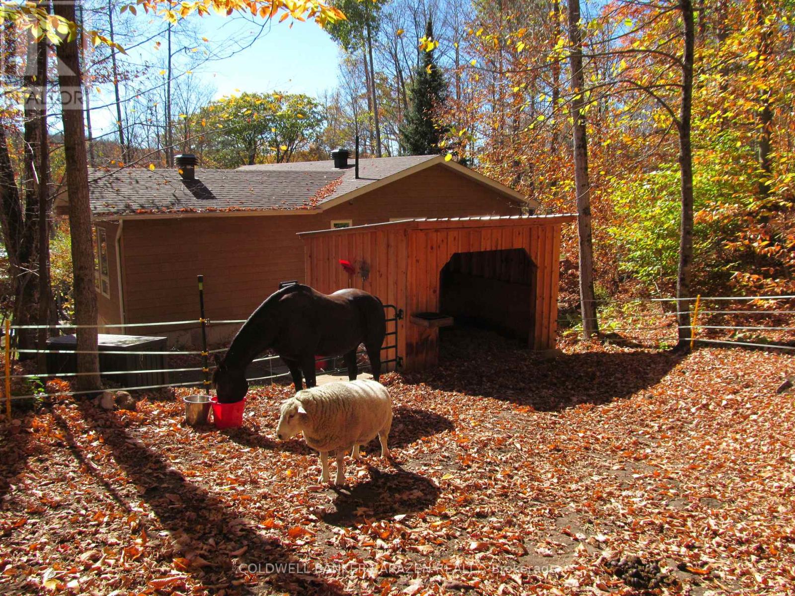 4054b Calabogie Road, Greater Madawaska, Ontario  K0J 1H0 - Photo 35 - X12469977