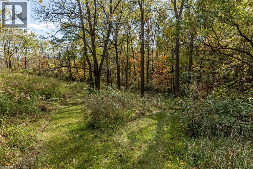 151 Patterson Road, Hamilton, Ontario  L9H 5V1 - Photo 46 - 40780011