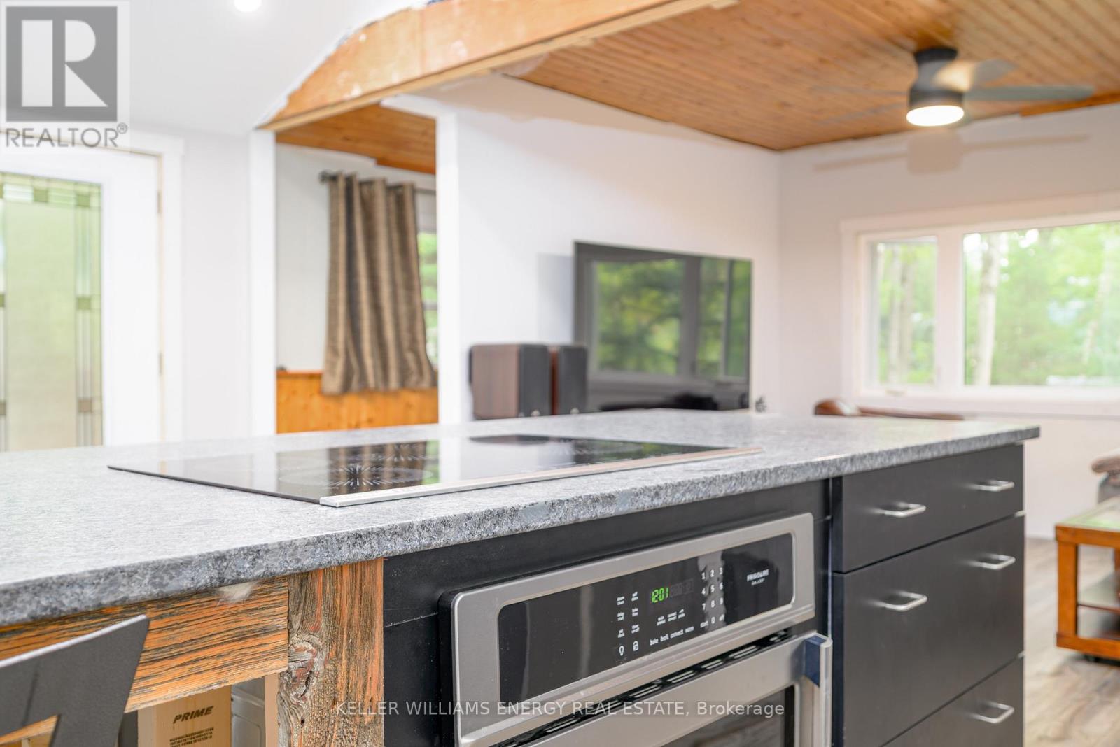 260 Edwina Drive, Trent Lakes, Ontario  K0M 1A0 - Photo 7 - X12388461