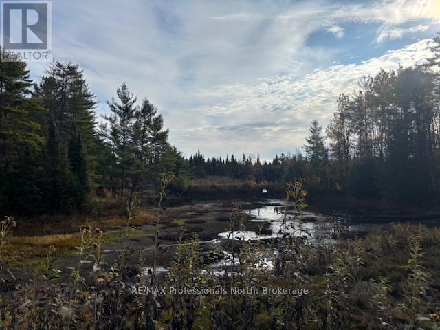4326 County Road 121 Road, Minden Hills (Snowdon), Ontario  K0M 2A0 - Photo 11 - X12470613