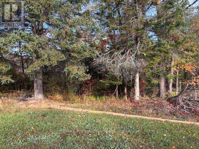 4326 County Road 121 Road, Minden Hills (Snowdon), Ontario  K0M 2A0 - Photo 8 - X12470613