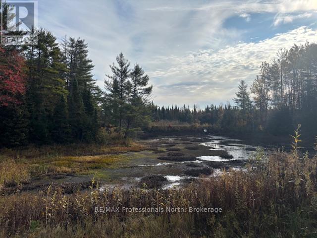 4326 County Road 121 Road, Minden Hills (Snowdon), Ontario  K0M 2A0 - Photo 9 - X12470613