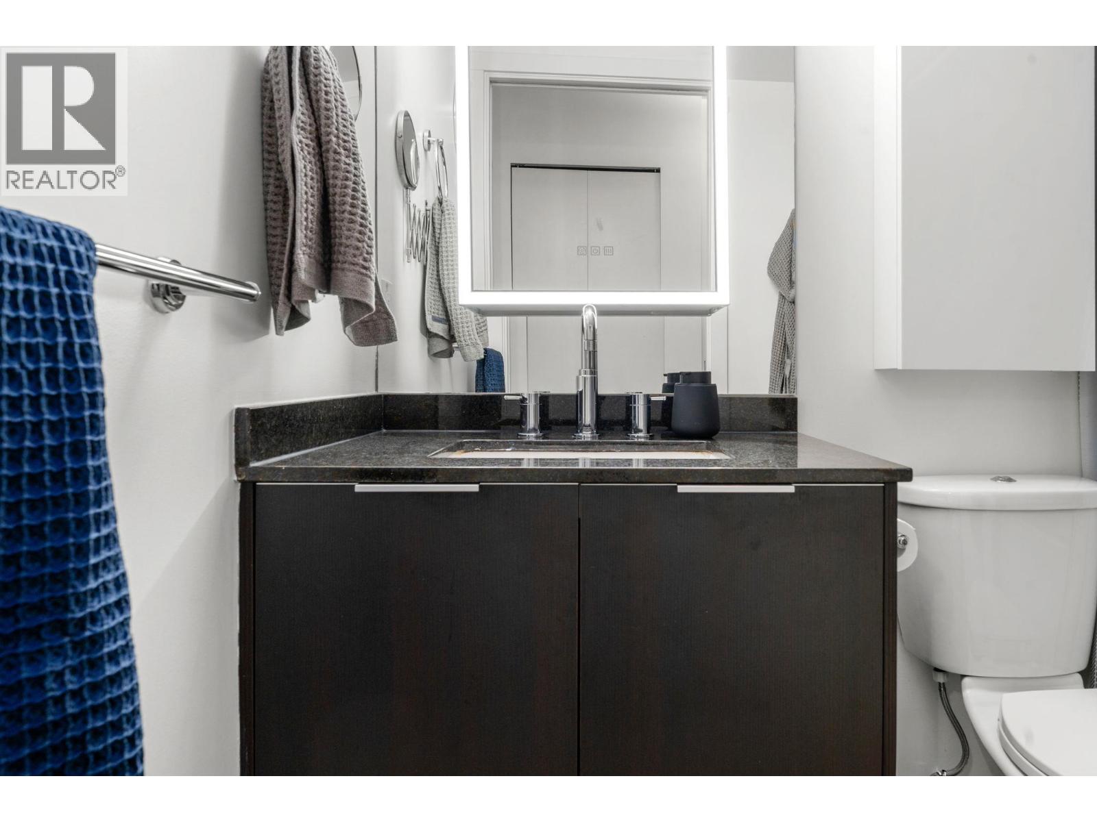 211 445 W 2nd Avenue, Vancouver, British Columbia  V5Y 0E8 - Photo 19 - R3059812