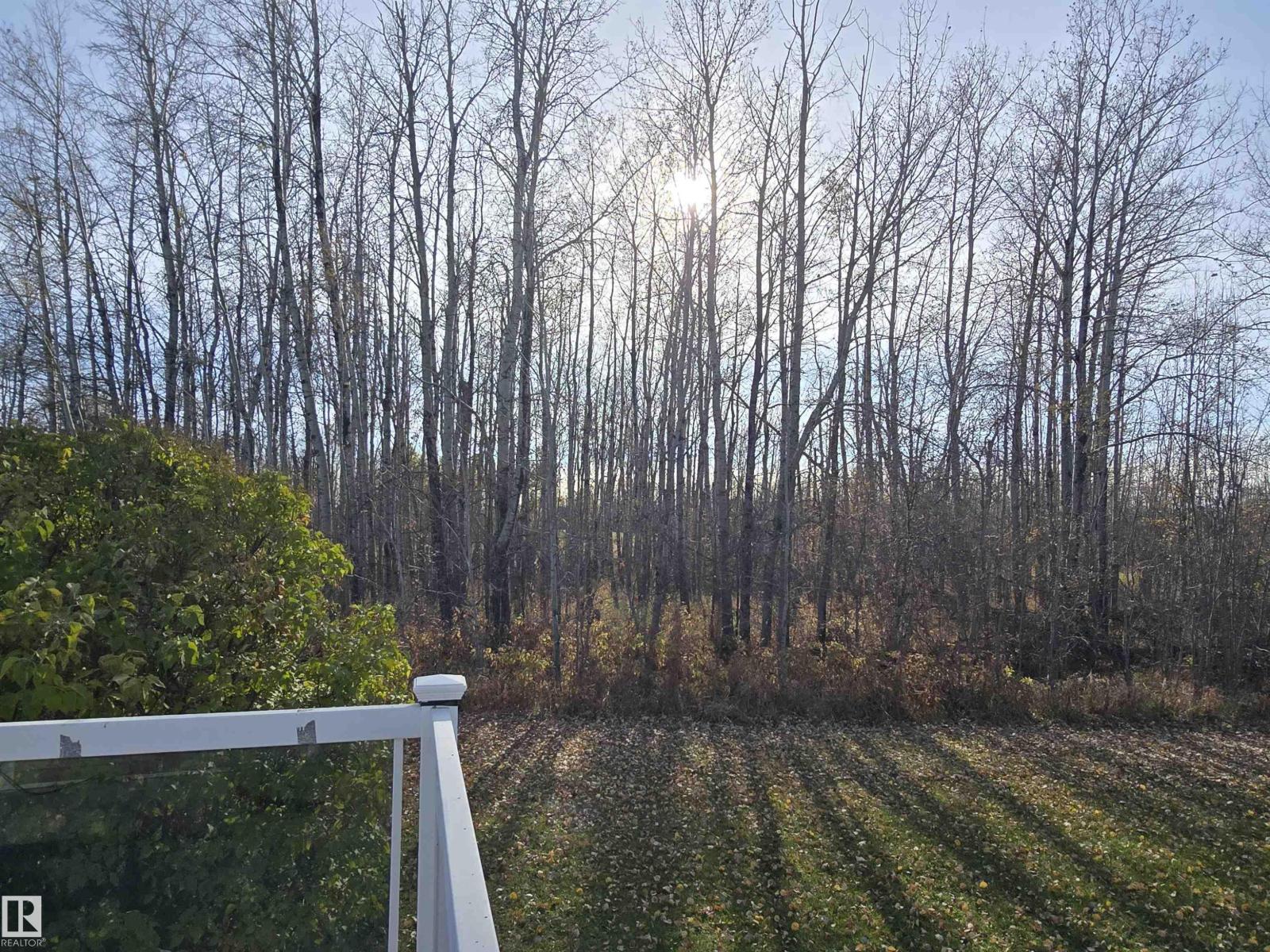 465051 R R 41, Rural Wetaskiwin County, Alberta  T0C 2X0 - Photo 15 - E4462734