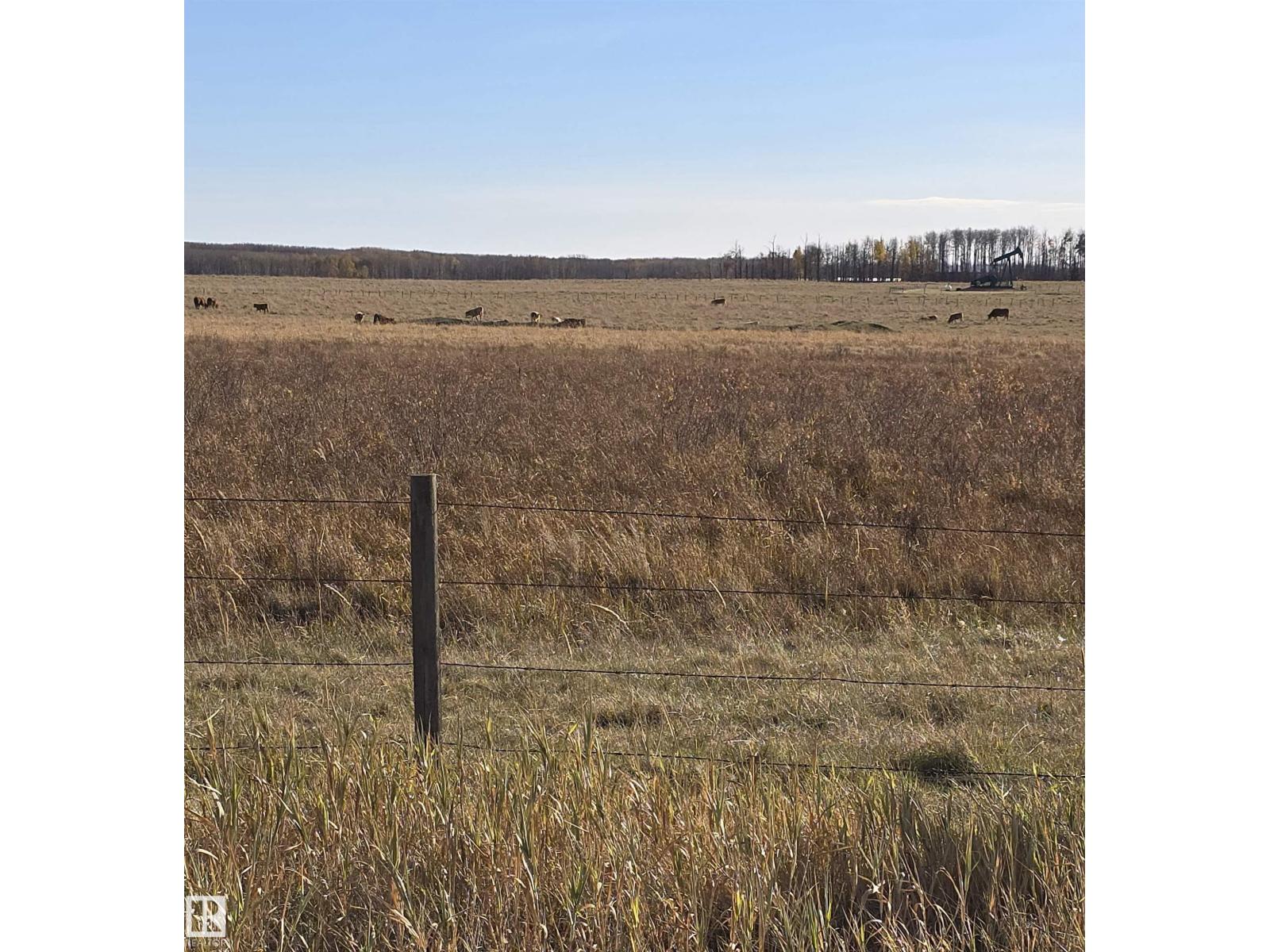 465051 R R 41, Rural Wetaskiwin County, Alberta  T0C 2X0 - Photo 2 - E4462734