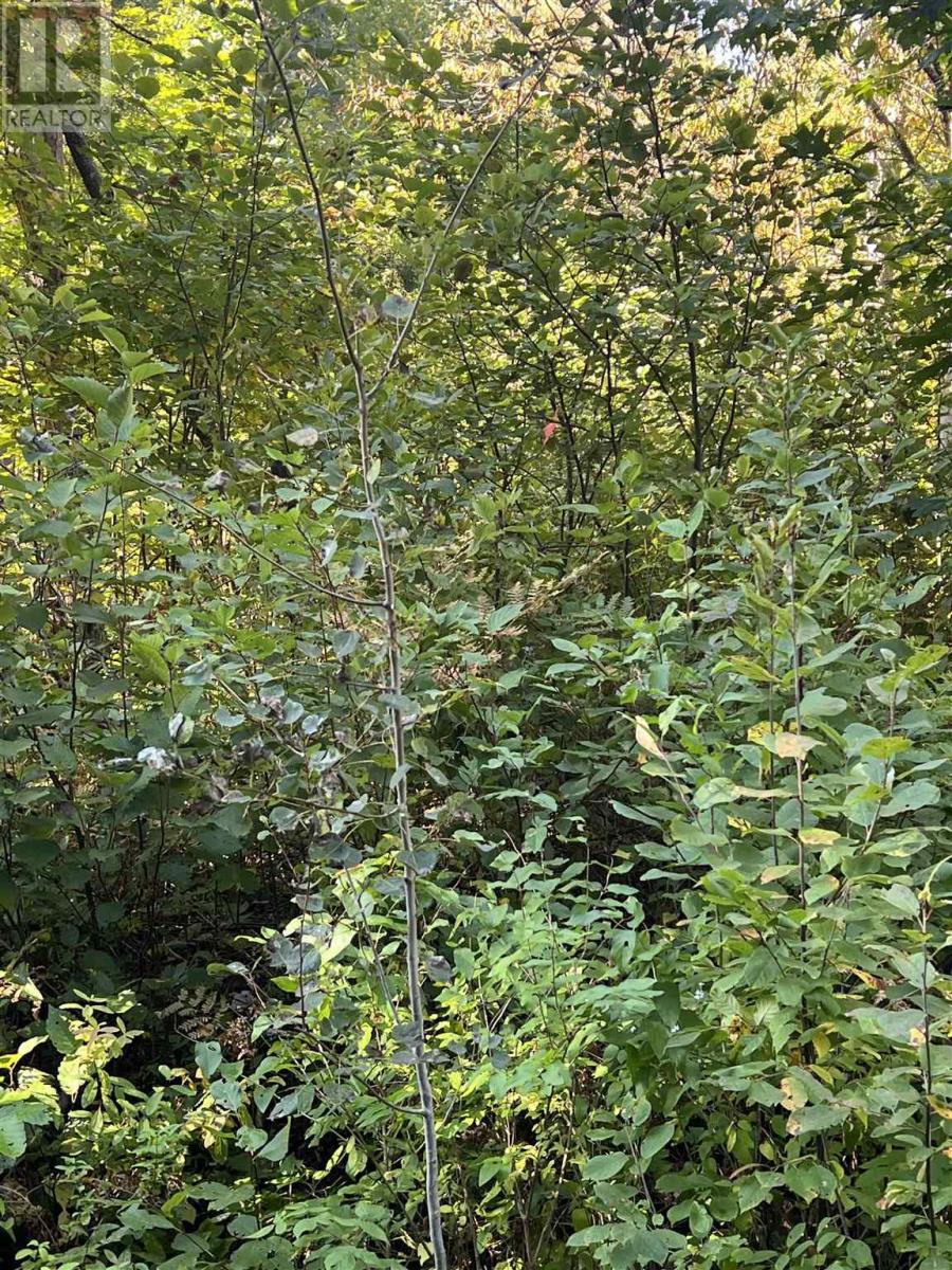 Lot 2 Glen St, Iron Bridge, Ontario  P0R 1L0 - Photo 15 - SM252728