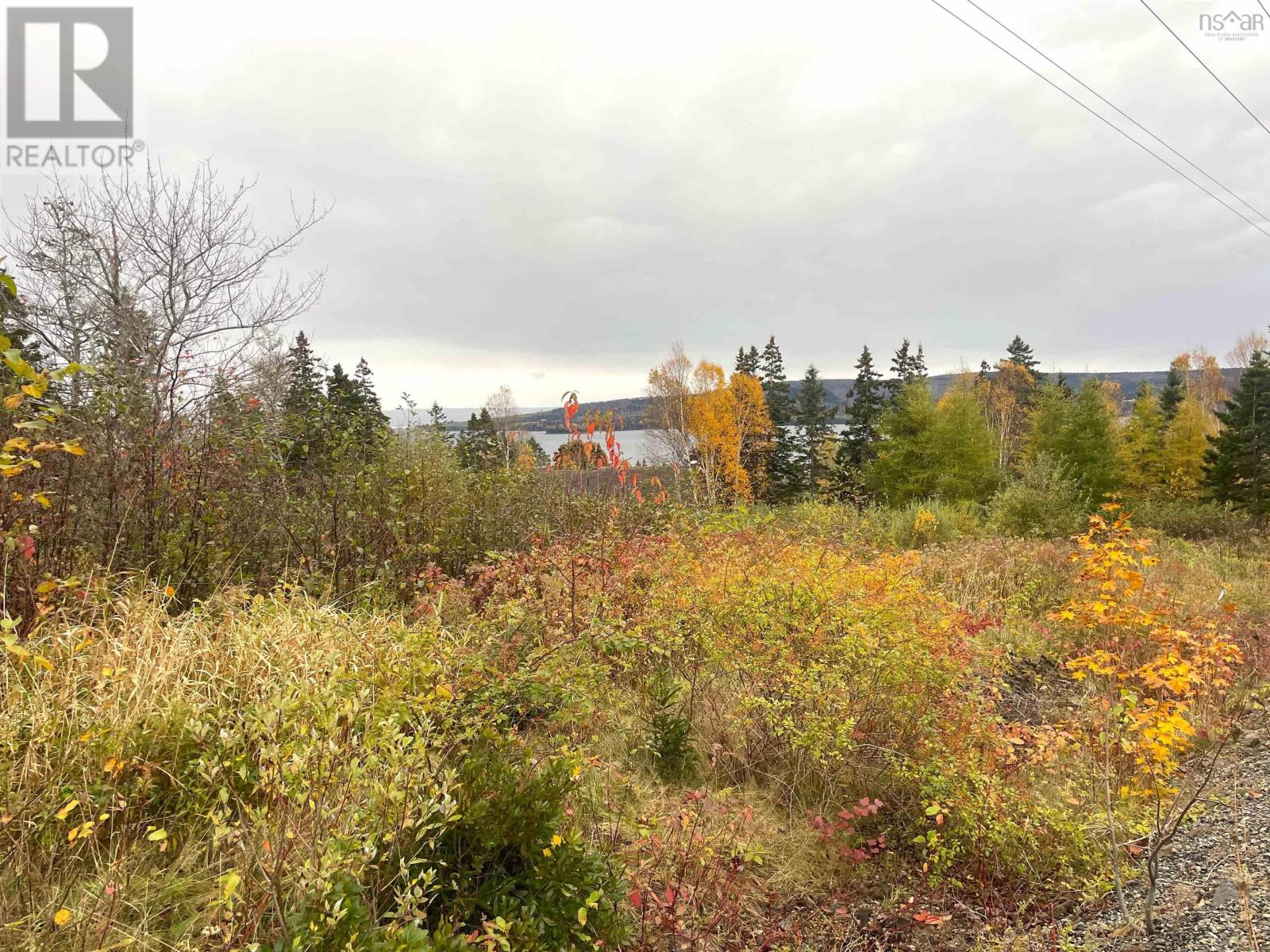 Alderwood Lane, Baddeck, Nova Scotia  B0E 1H0 - Photo 2 - 202506197