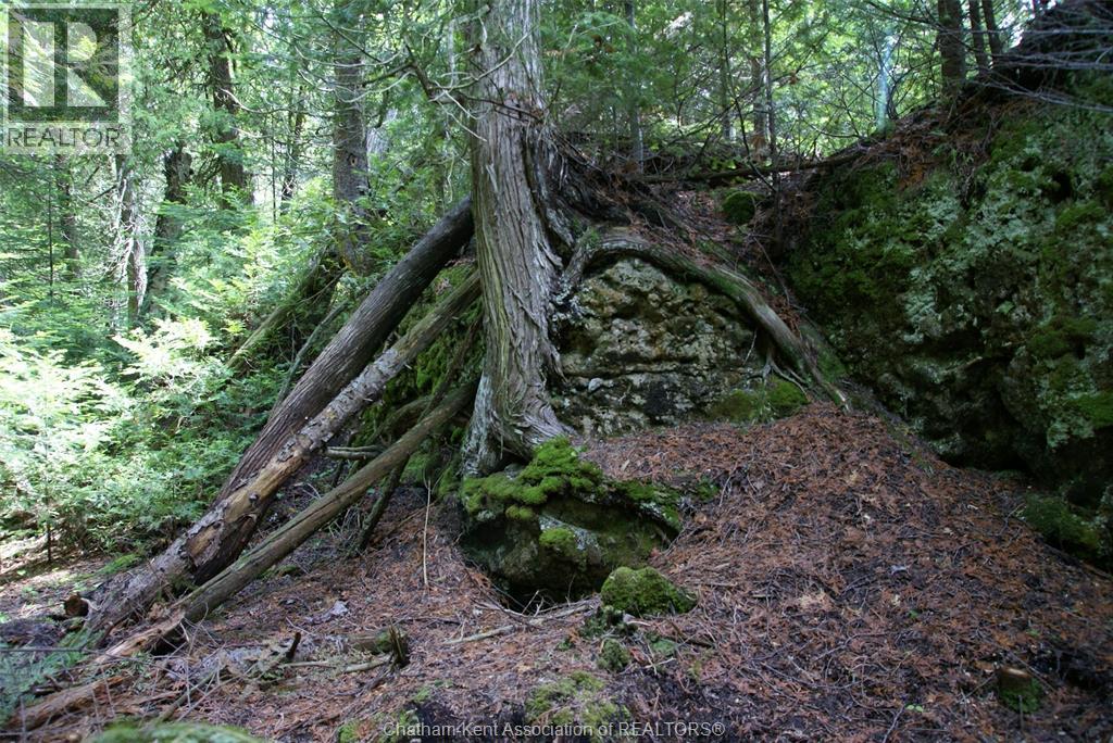 V/l Warner Bay Road, Bruce County, Ontario  N0H 2R0 - Photo 12 - 25026500